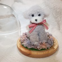 YOU。羊毛フェルトオーダー20センチサイズ♡ オーダーメイド羊毛フェルト】リアルチンチラ 約20cm - ショップ