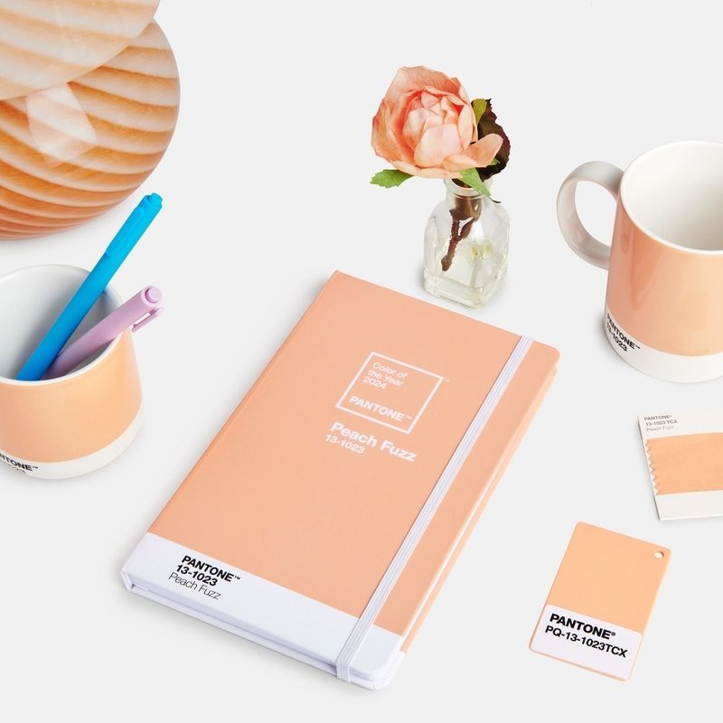 PANTONE 2024 Soft Peach Limited Color - อื่นๆ - วัสดุอื่นๆ 