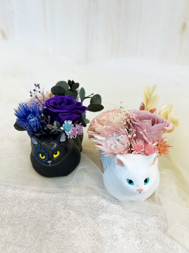 貓貓迷你盆飾 日式盆花 永生花 香氛花 索拉花 不凋花 - 乾燥花/永生花 - 陶 白色