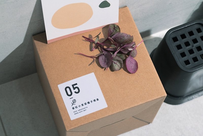 05紫紅小莧菜種子_入坑禮物盒 - 植栽/盆栽 - 植物．花 