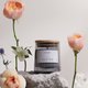recommend-product