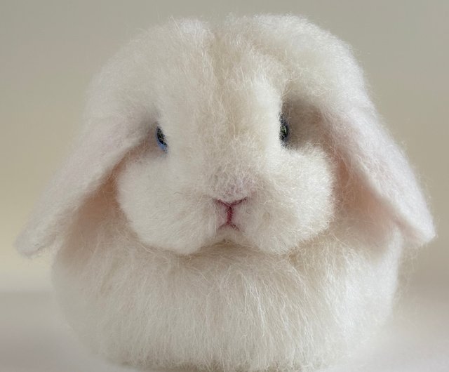香箱座りの羊毛フェルトうさぎ アメリカンファジーロップ ブルーアイド