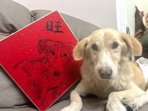 瓊斯藝術工作室 客製化寵物春聯 | 大卡硬春| 獨一無二的萌寵祝福