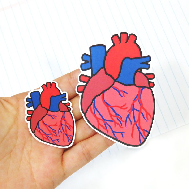 心臟圖案 貼紙 / 生物學 器官 解剖 - 貼紙 - 防水材質 紅色