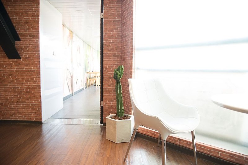 Large cactus | Pentagon cement pot God Pavilion | Promoter moved to open the home floor fleshy potted plants - ตกแต่งต้นไม้ - ปูน สีเขียว