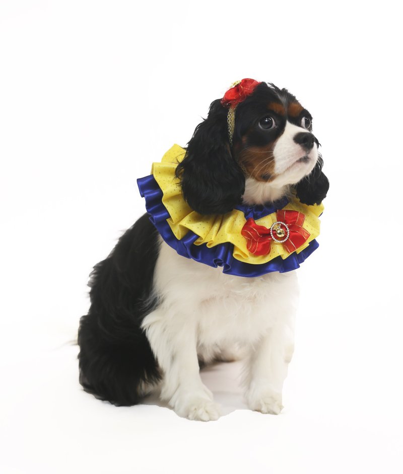 Apple Princess Collar Pet Clothing - Clothing & Accessories - Polyester 