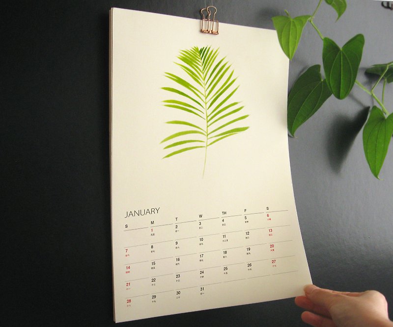 植物的靜默 2024年 月曆 掛曆 給植物愛好者的新年禮物 1 - 年曆/桌曆 - 紙 綠色