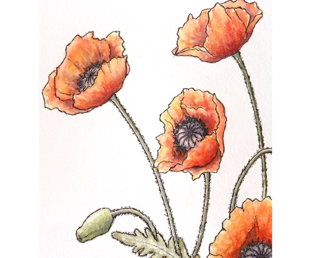 ポピーの絵 オリジナルアート 花の水彩画 Floral Art by NataDuArt