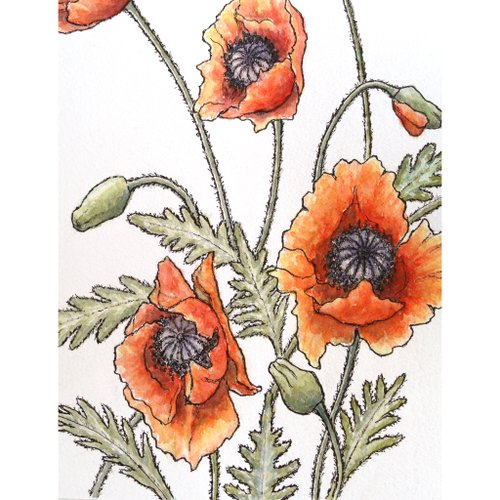 ポピーの絵 オリジナルアート 花の水彩画 Floral Art by
