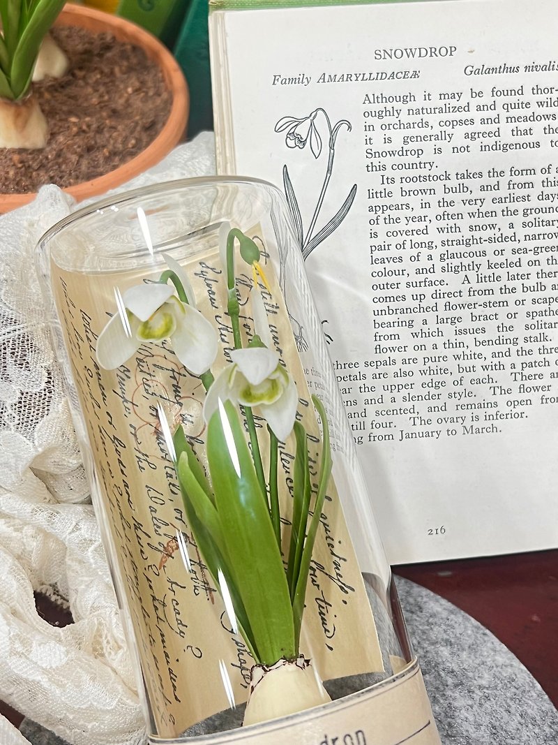 | Flower Illustrated Book - Test Tube Series | Snowdrops/Snowdrop Flowers/Realistic Clay Flowers - ของวางตกแต่ง - ดินเหนียว 