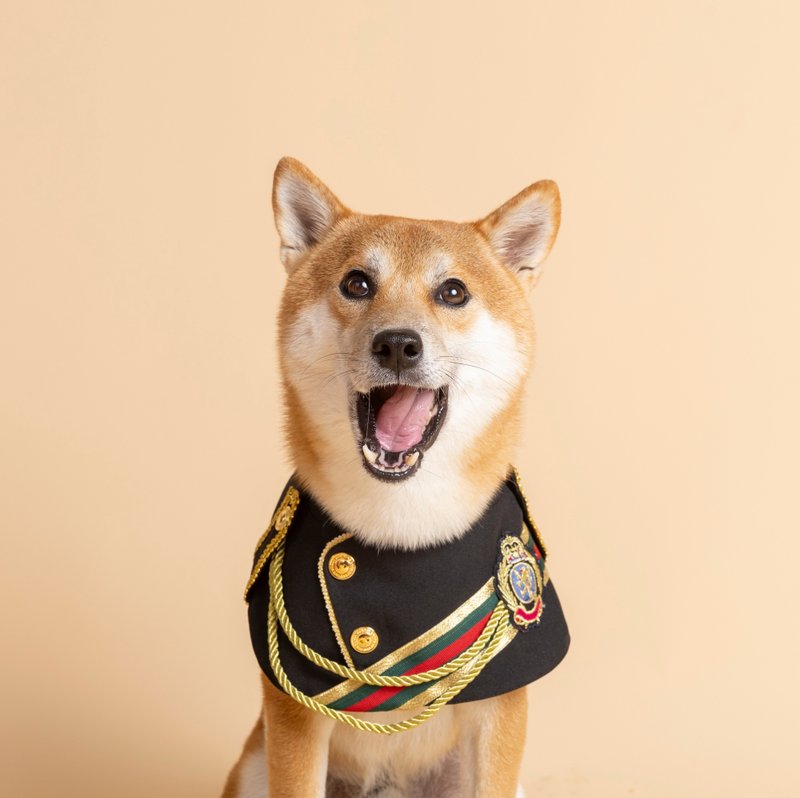 【ZAZAZOO】王者の風格シリーズ--インペリアルブラック--（受注生産品） - 洋服・帽子 - コットン・麻 ブラック