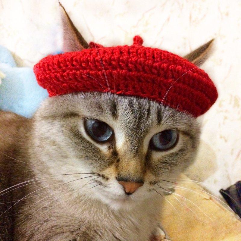 Cat beret Cat hat Easy crochet pattern French Cat beret - 手工藝教學/工具書 - 其他材質 