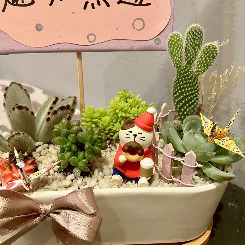 聖誕甜甜圈 貓 台中多肉組盆 多肉植物 聖誕禮物 耶誕 日本decole - 盆栽/植栽 - 植物．花 綠色