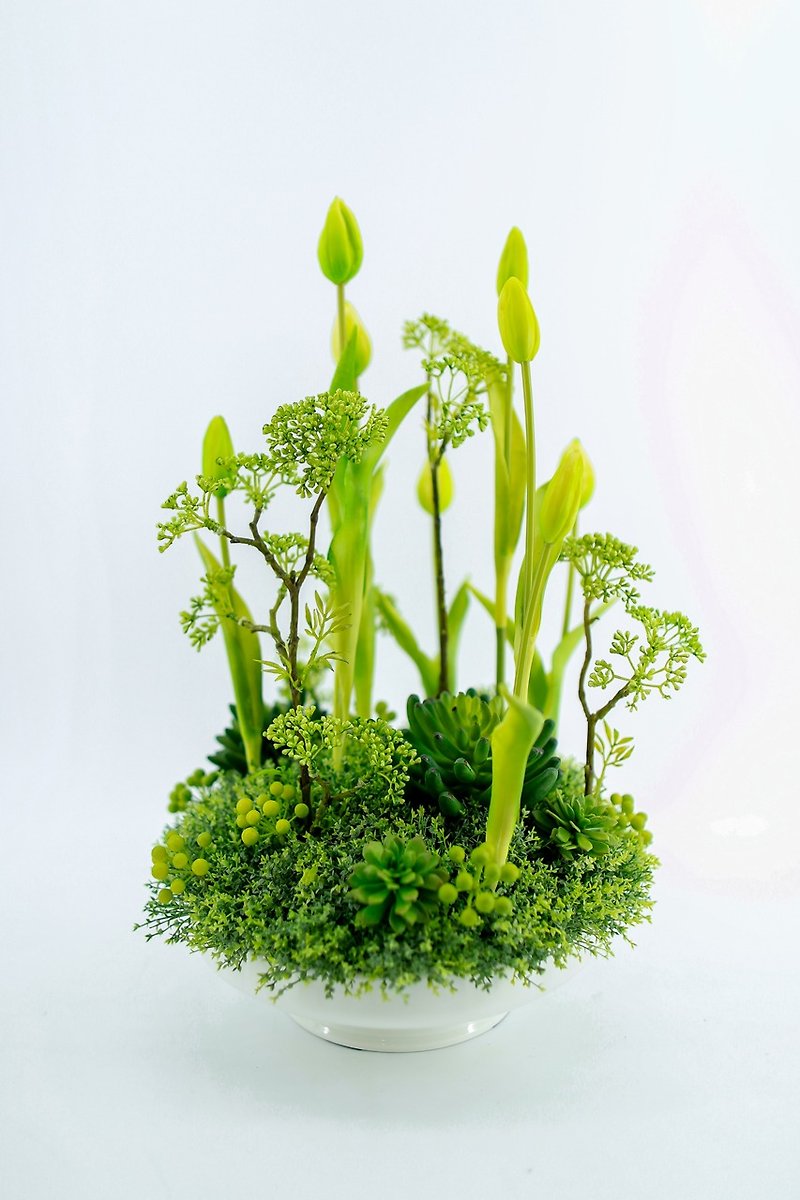 低肉質花のチューリップ - 花柄を作ります - 観葉植物 - その他の素材 グリーン