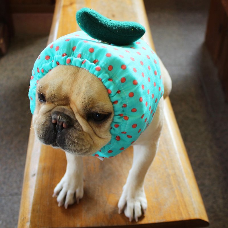 Chilled dog Zura * Green * Cucumber - Clothing & Accessories - Wool Green
