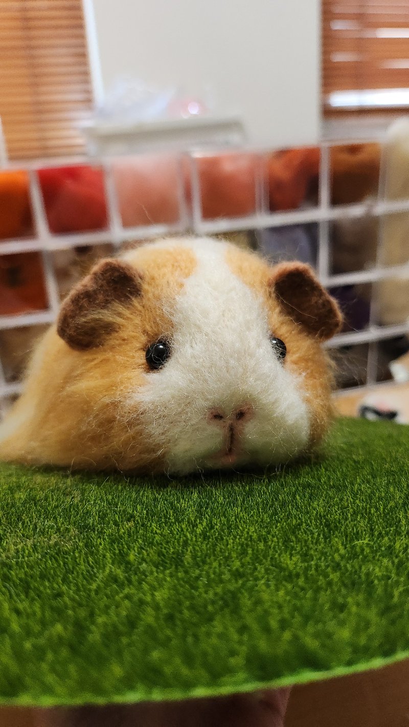 Wool felt guinea pig doll - ตุ๊กตา - ขนแกะ 