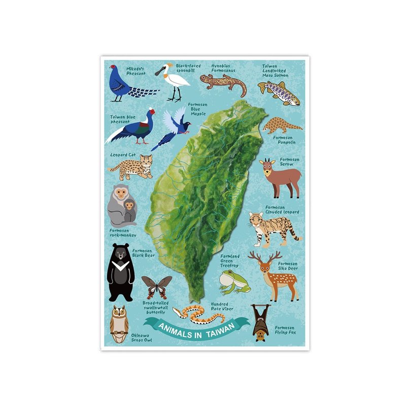 我愛台灣明信片--台灣特有動物 - 卡片/明信片 - 紙 藍色