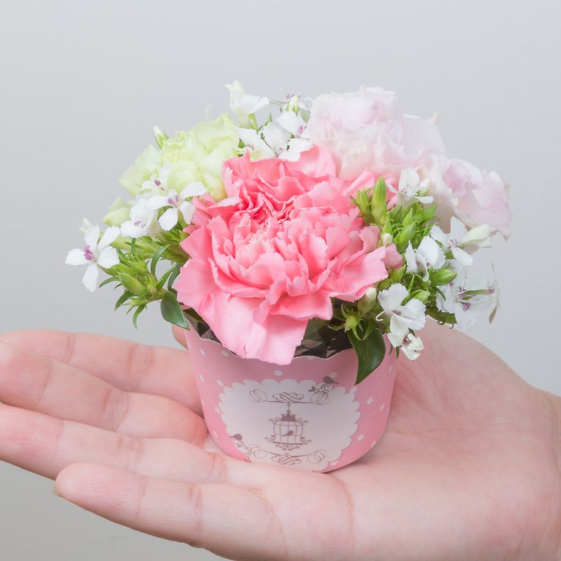 Kinki hand made love love u Mother's Day Flowers & Gifts Flowers Limited Soon (limited self-created) carnations mountains bellflower cherry small flower small flower pot cake - Plants - Plants & Flowers Pink