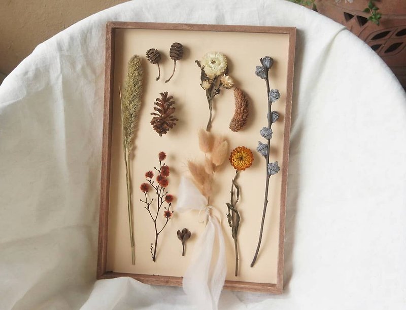 Dried Flower Specimen Frame - Picture Frames - Plants & Flowers Pink