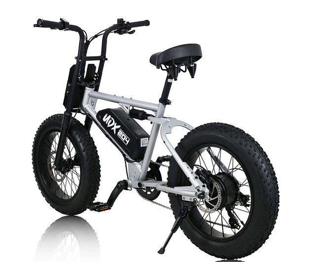 Udx fatbike online