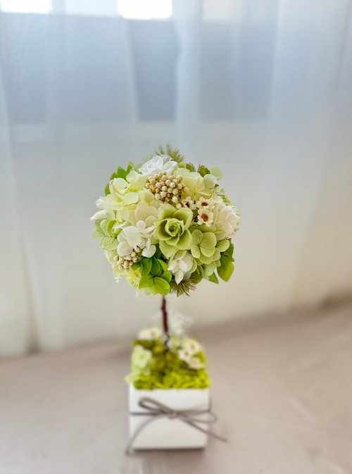 小鹿花巷 永生花許願樹 永生花花球樹