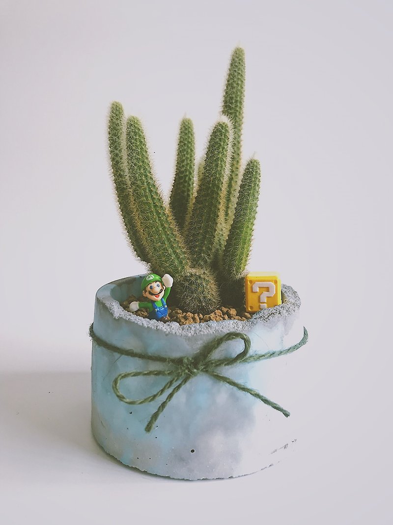 Jungle Mario - Cactus Cement Basin + Mario Combination - Plants - Plants & Flowers Gray