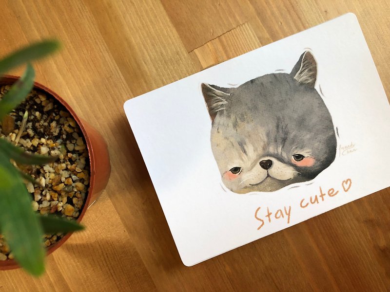 寵物明信片 / 灰貓 - 心意卡/卡片 - 紙 灰色