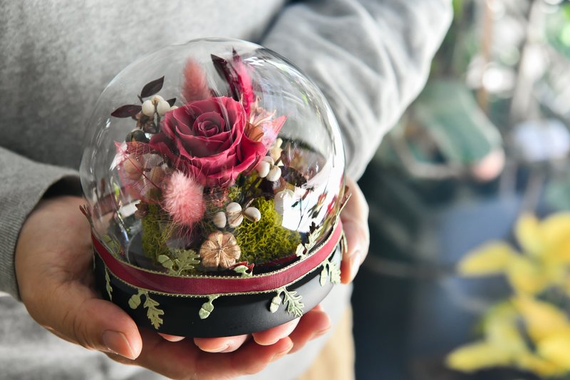 情人節禮物│非凡洋紅玫瑰玻璃罩 - 擺飾/家飾品 - 植物．花 
