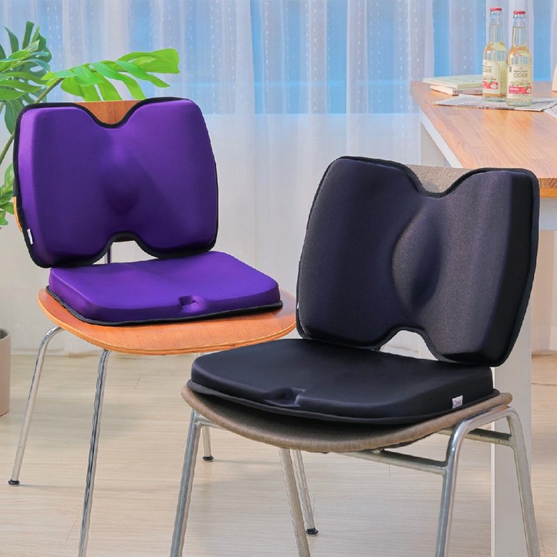 [Sitting Model Group] Balance Balanced Pressure Seat Cushion + Stable Backrest - เก้าอี้โซฟา - เส้นใยสังเคราะห์ 