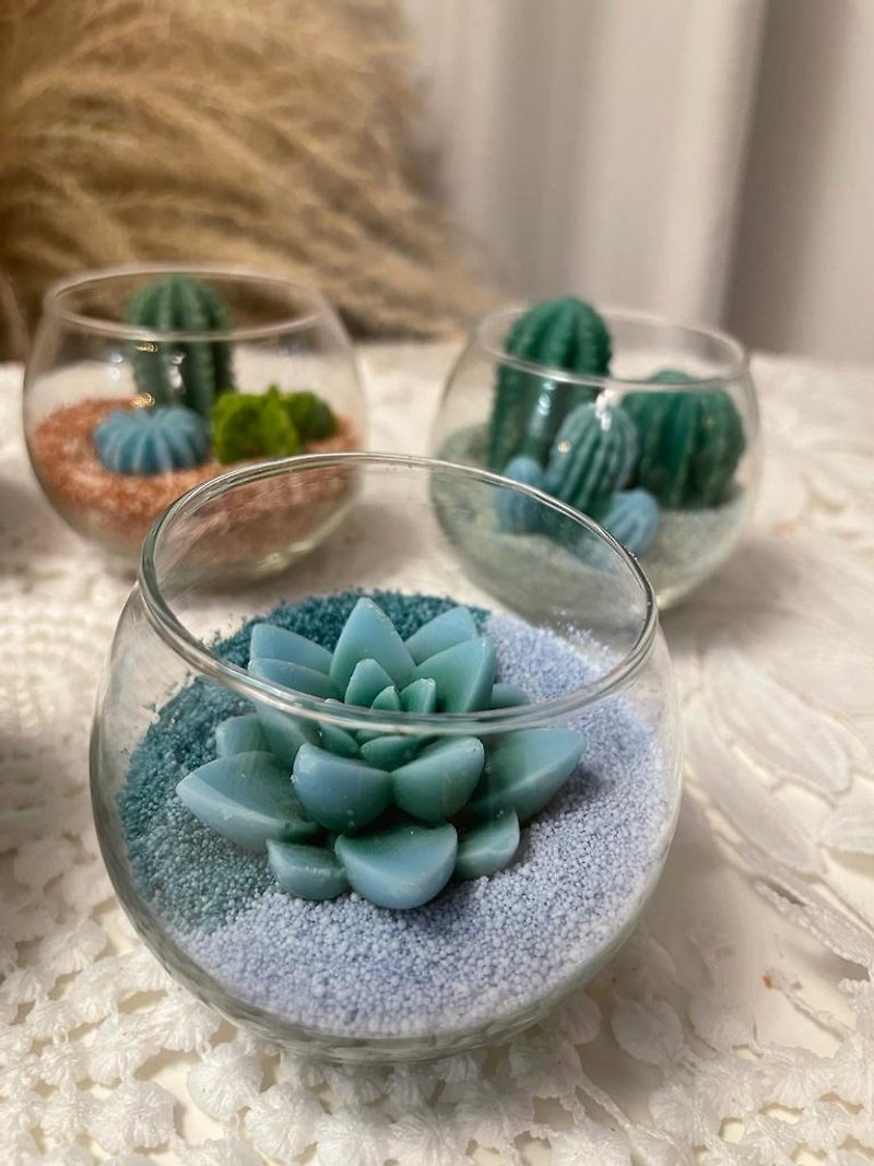 Succulent Plant Candle - Items for Display - Wax Multicolor