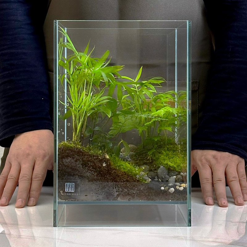 新品上市 無聲之林 / 客製化造景生態缸 - 植栽/盆栽 - 植物．花 