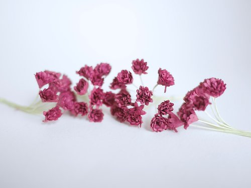 makemefrompaper Paper Flower, DIY 100 pieces gypsophila, 100 pieces, size 1 cm. burgundy color