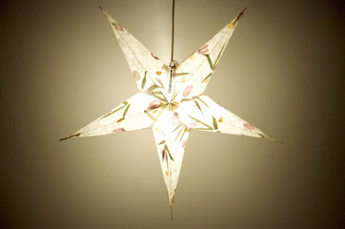Handmade paper star lights / star lights / star lights / origami lights - dry flowers stars under the moonlight