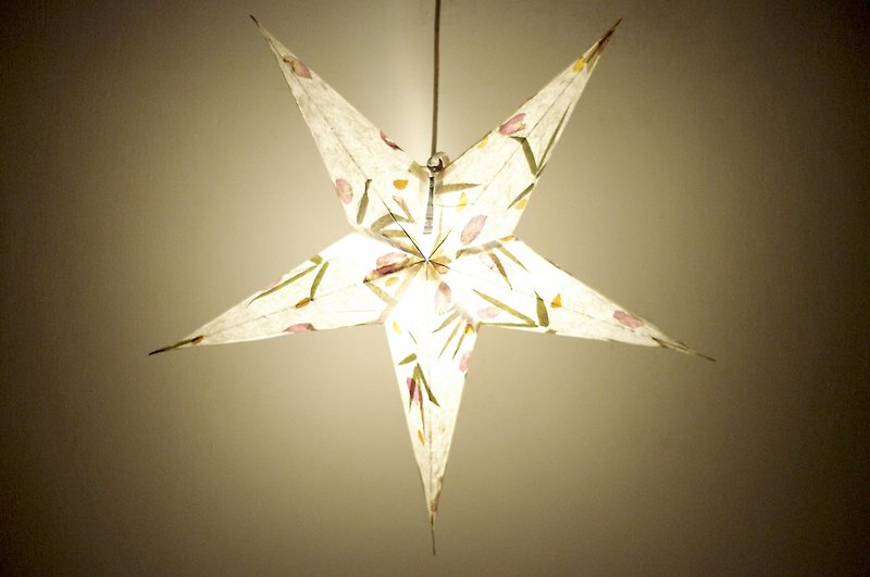 Handmade paper star lights / star lights / star lights / origami lights - dry flowers stars under the moonlight - Lighting - Paper White