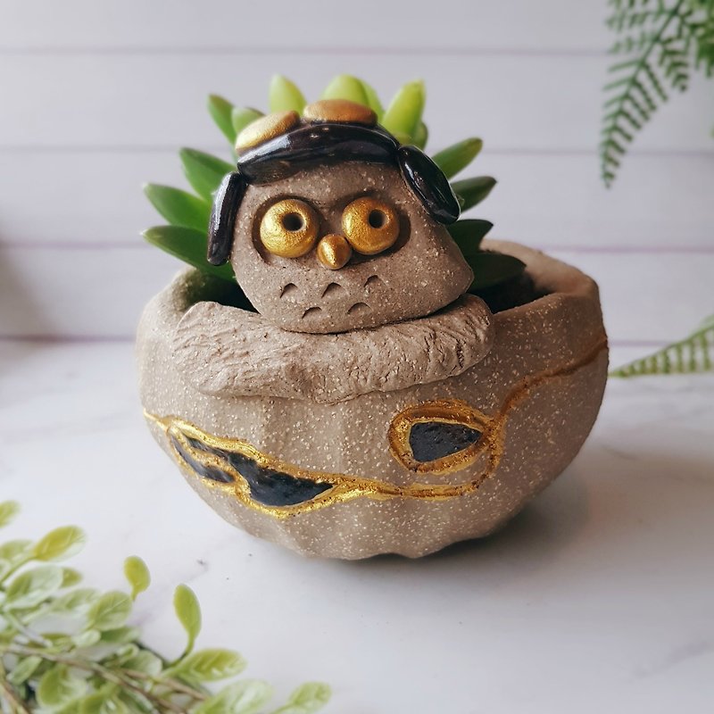 Flying Eagle in Love│Yoshino Eagle x Owl Flower Succulent Healing Gift - Plants - Pottery Khaki