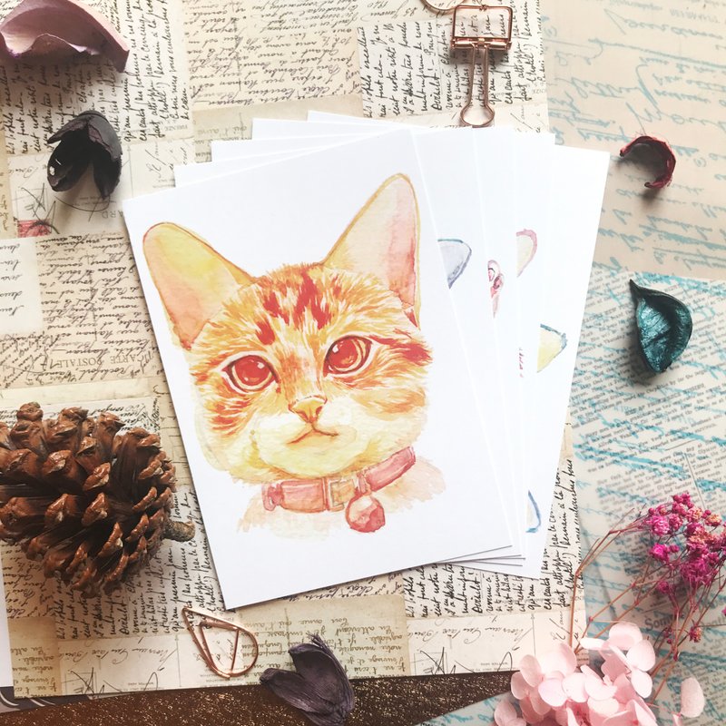 Bambi's History Of Growth Postcard - การ์ด/โปสการ์ด - กระดาษ หลากหลายสี