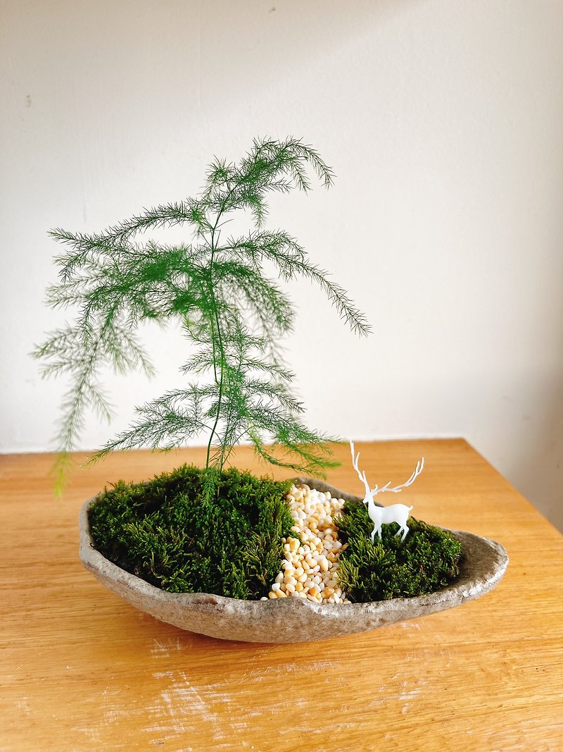 Pure natural Japanese-style potted Zen asparagus bamboo Cement potted deer gift zen - ตกแต่งต้นไม้ - พืช/ดอกไม้ สีเขียว