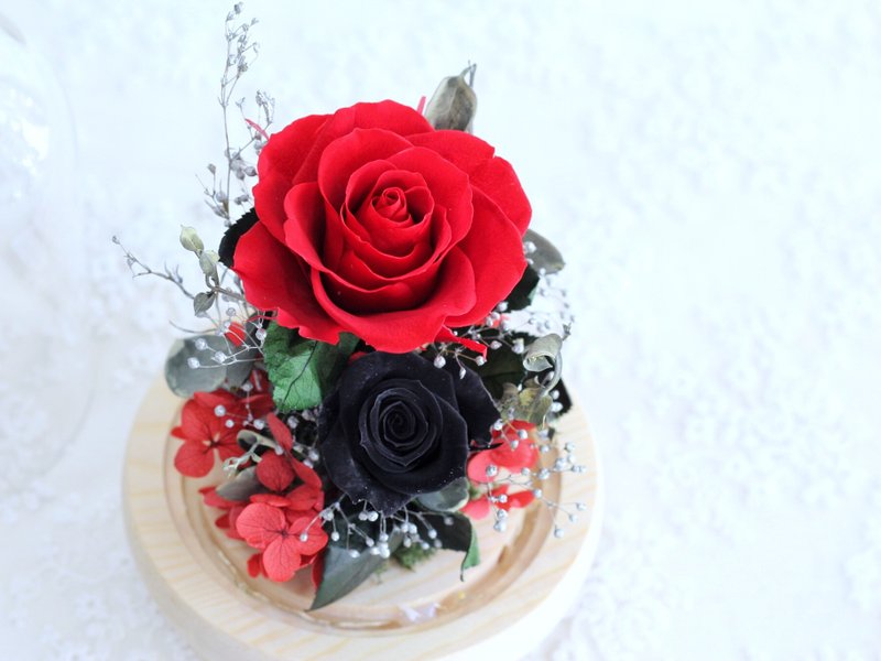 Fl145-02 Special style eternal flower glass cover-red and black - ช่อดอกไม้แห้ง - พืช/ดอกไม้ 