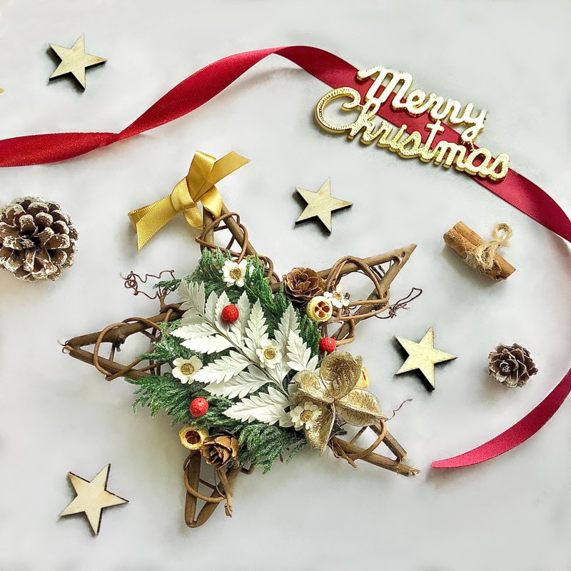 伯利恆星星 發光 星星 伯利恆之星 立即出貨 禮物 - 乾燥花/永生花 - 植物．花 黃色