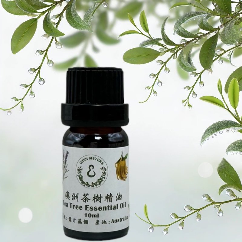 天然純精油 茶樹精油 10/50ML 100%純精油 單方精油 贈玫瑰擴香石 - 香氛/精油/擴香 - 精油 