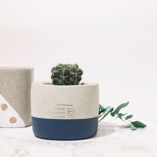 URBAN GREEN MAKERS (Taiwan) UGM圓型清水模盆器 / 深藍