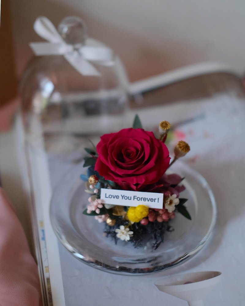 Graduation gift preserved flowers/bright Peach glass cup/graduation gift/birthday gift/ - Dried Flowers & Bouquets - Plants & Flowers 