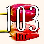  Designer Brands - 103inc