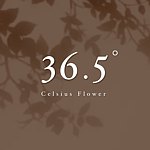 設計師品牌 - 36.5° Celsius Flower