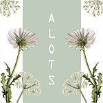  Designer Brands - alotss-jewelry