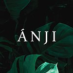  Designer Brands - ANJI