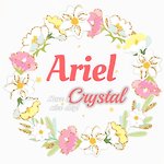 Ariel crystal艾莉兒手作*//飾品吊飾/水晶飾品/永生花