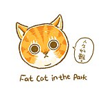 Fat cat in the park