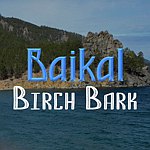 Baikal Birch Bark