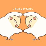 BIRDS ATTACK